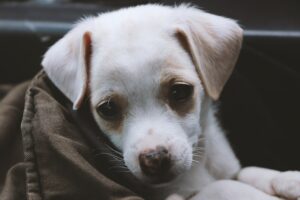 Sample post title with format gallery